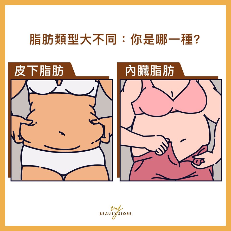 脂肪类型大不同：你是哪一种？